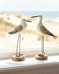 Donald Seabirds