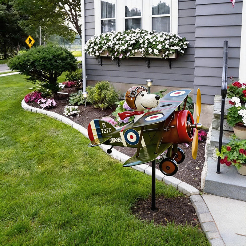 Sky Ace in the garden